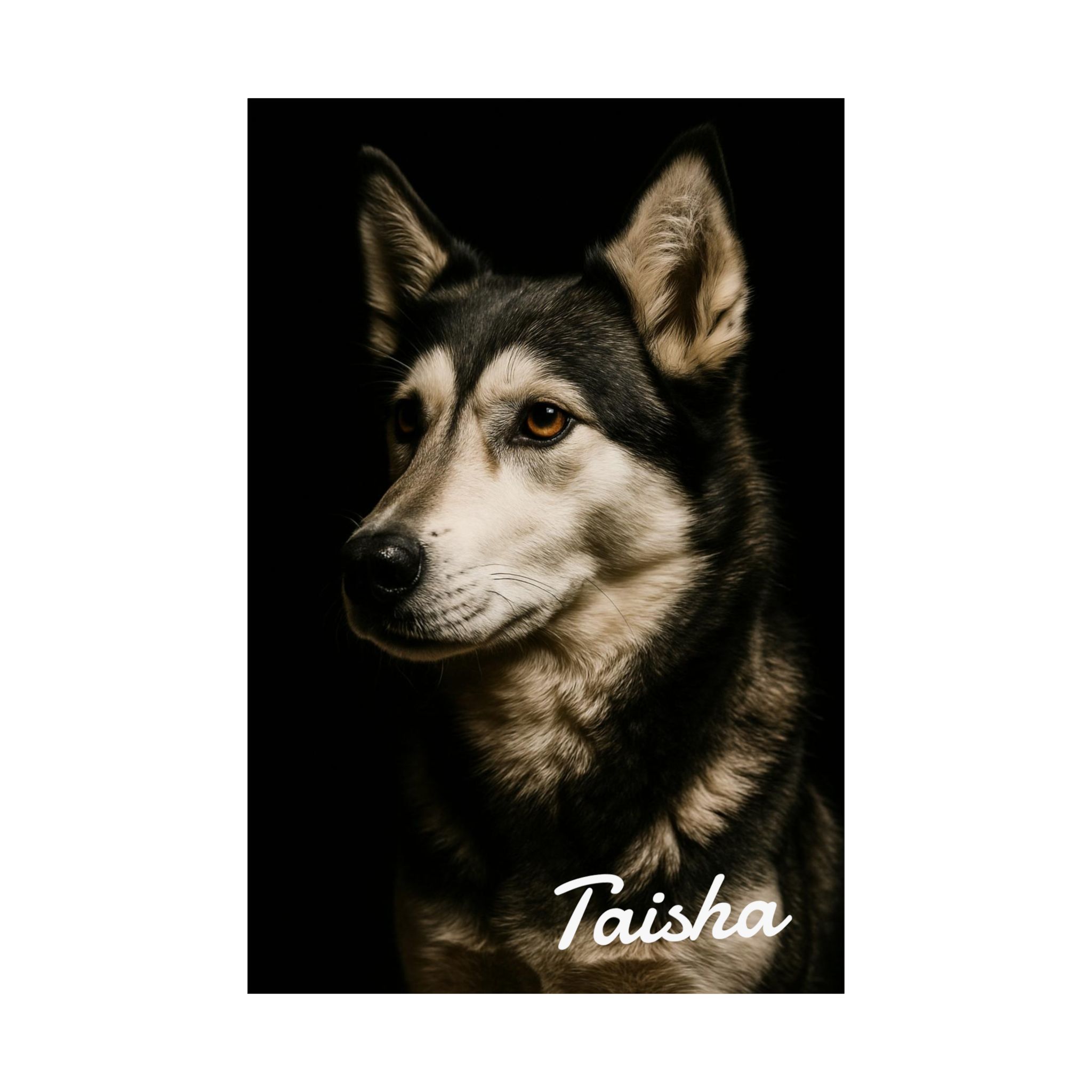 Satin Poster | Studio Photo - Image 7