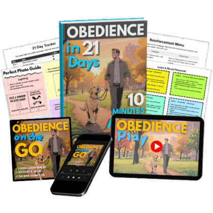 Obedience in 21 Days - Kit